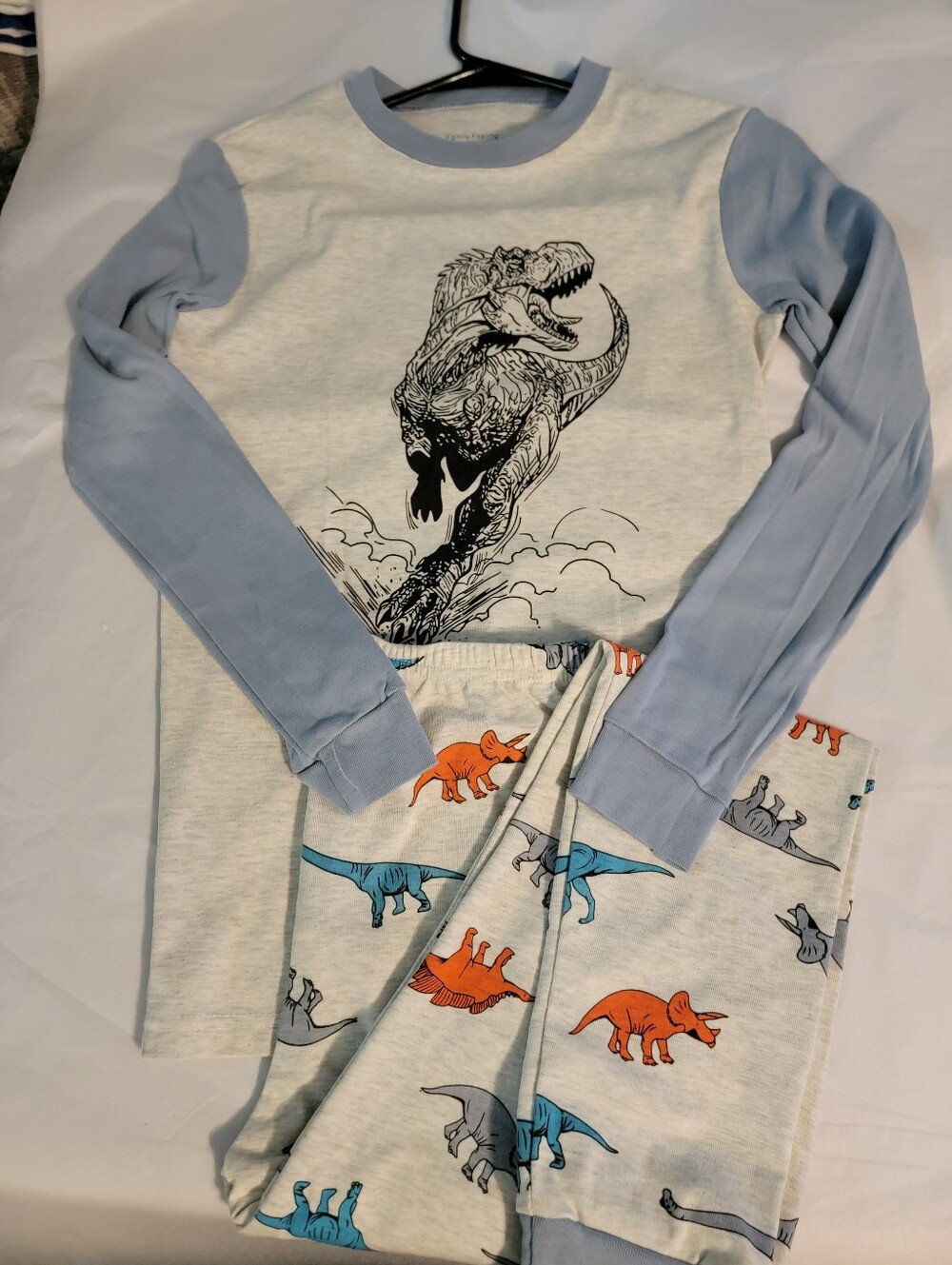 Boys Light Blue & Gray Dinosaur Long Sleeve Pajama Set